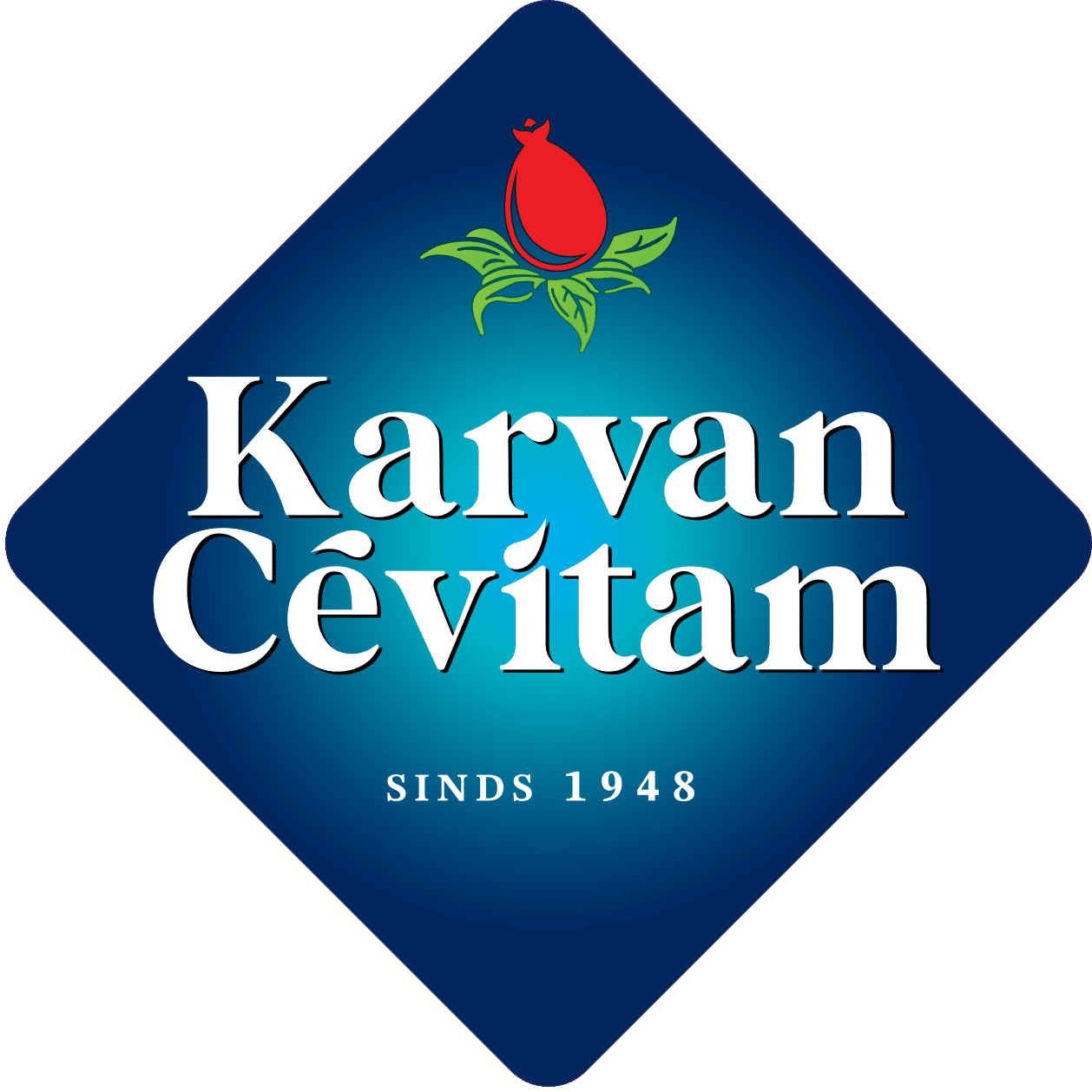 LOGO_Karvan Cevitam.png